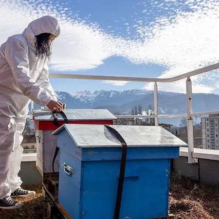 Kosy - Les Cedres 3* Grenoble