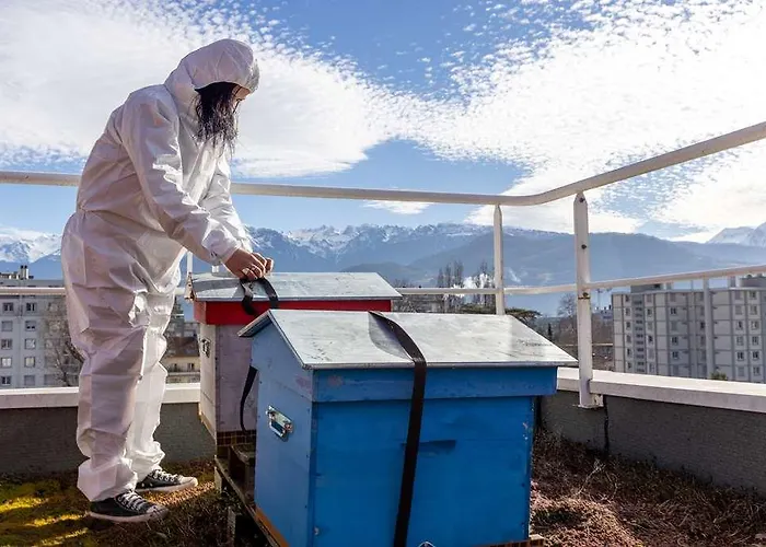 Kosy - Les Cedres 3* 格勒诺布尔