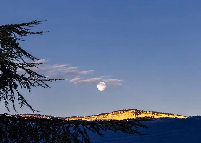 Kosy - Les Cedres Apart-hotel Grenoble