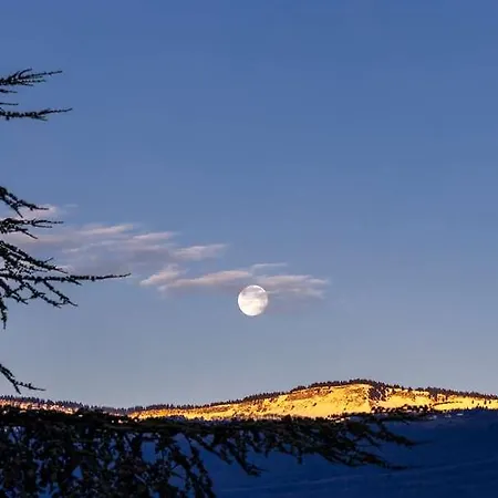 Kosy - Les Cedres شقة فندقية غرونوبل